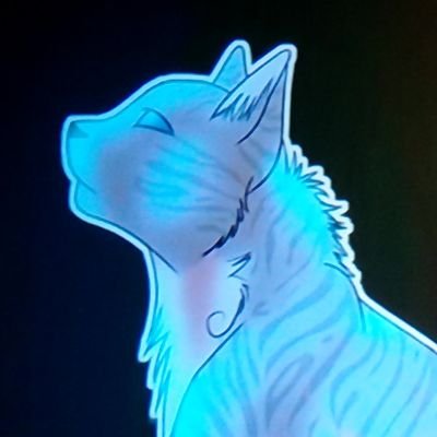 Profile Picture of Dylan Jay Dillehay (@DillehayCat) on Twitter