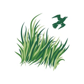 Profile Picture of Sawgrass Country Club (@sawgrasscc) on Instagram