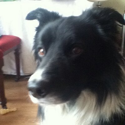 Profile Picture of Kyle (@kylefrew12) on Twitter