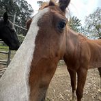 Profile Picture of William Brullo Warnock (@william.brullowarnock) on Facebook