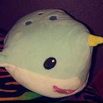 Profile Picture of Jim (@jim_cant_swim03) on Instagram