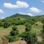 Logan Mora - Facebook Profile Picture of Logan Mora (@Logan-Mora) on Facebook