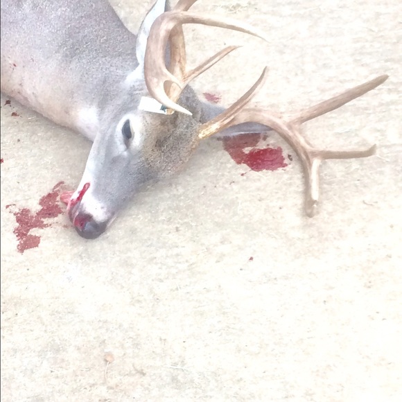 Profile Picture of Haden Duhon (@hademdrew) on Poshmark