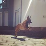 Profile Picture of Drinks Michael (@michael.drings) on Instagram