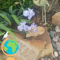 Chris Coomes-holmen - Quora Profile Picture of Chris Coomes-holmen (@chris-coomes-holmen) on Quora