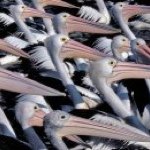 Profile Picture of David Watersun (@watersunphotography) on Instagram