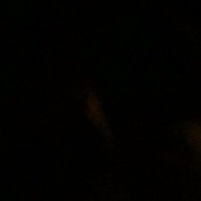 Profile Picture of Hussein Moussa (@husseinmoussa12) on Twitter