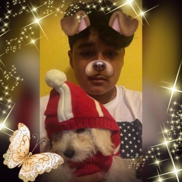 Profile Picture of Moises Salazar (@smoises29) on Poshmark