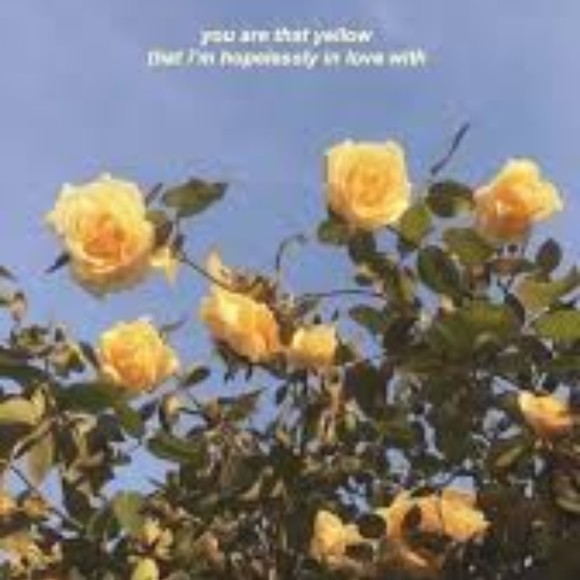 Profile Picture of Vanessa Monogue (@nessamxo) on Poshmark