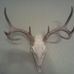 Profile Picture of Chuck Fontenot (@chuck.fontenot.12) on Facebook