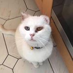 Profile Picture of Nathan Breen (@sowa_ragnarok) on Instagram