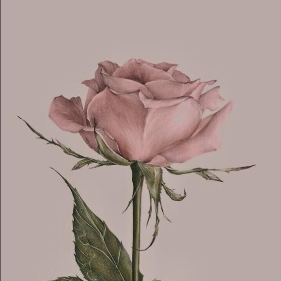 Profile Picture of Emma Mcnairy (@emmablack37) on Poshmark