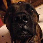 Profile Picture of Ruby (@ruby_dameron) on Instagram