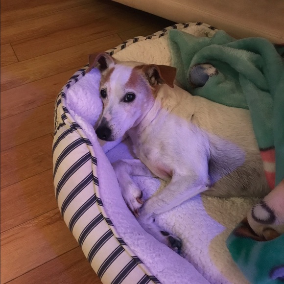 Profile Picture of Natalie Malamud (@nmalamud) on Poshmark