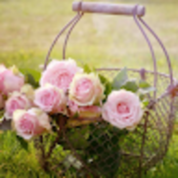 Profile Picture of Brynn Hackmann (@tealdaisy11) on Poshmark