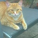 Profile Picture of Sharron Evans (@sharronevans72) on Instagram