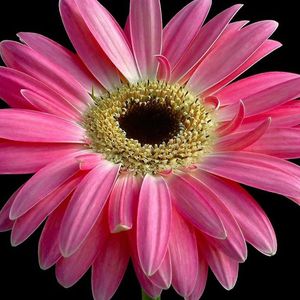 Profile Picture of Lupe Camacho Tamayo (@camachotamayo) on Myspace