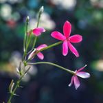 Profile Picture of Edwin Davis Photography (@ed.win_davis) on Instagram