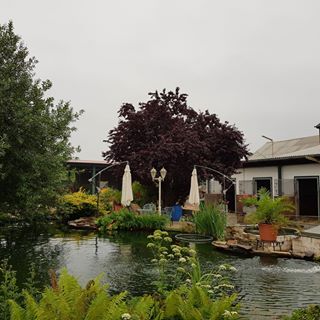 Profile Picture of Gordon Geselle (@reitanlagegordon.geselle) on Facebook