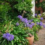 Profile Picture of Shirley Hickson (@shirley.hickson.33) on Facebook