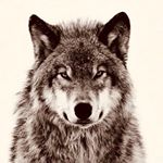 Profile Picture of C.M. Vílchez.🔰 (@carlos_marquez16) on Instagram