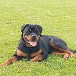 Sabrina Clary - Instagram Profile Picture of Sabrina Clary (@sabrina.clary.1) on Instagram