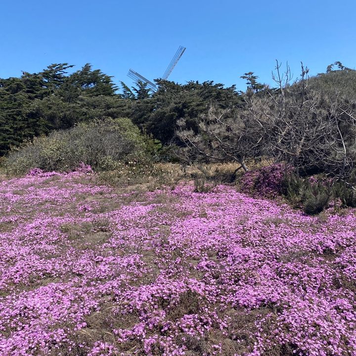 Profile Picture of Michael Catelli502 (@buckarooney97) on Tiktok