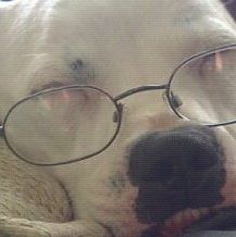 Profile Picture of Penelope Cannon (@penelope.cannon.3) on Facebook