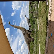 Profile Picture of Crystal Shackelford (@crystalshackelford9575) on Youtube