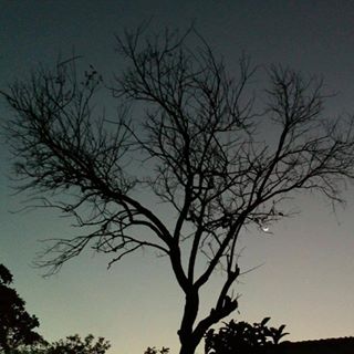 Profile Picture of Jonas Gonzalez (@jonas.gonzalez.501151) on Facebook