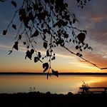 Profile Picture of LatanyaKeenan (@latanyakeenan) on Instagram