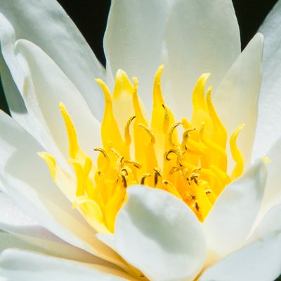 Profile Picture of Alice Wan (@alicewan20) on Twitter