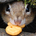 Profile Picture of Jonathan  Leblond (@white sox master) on Flickr