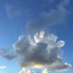 Profile Picture of Lucy Goodman (@lucy_good_man) on Instagram