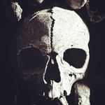 Profile Picture of DMB (human - he/his - german/english please) (@leichendoktor) on Instagram