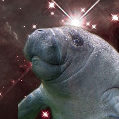 Profile Picture of Joshua Eisner (@Joshua_Eisner) on Twitter