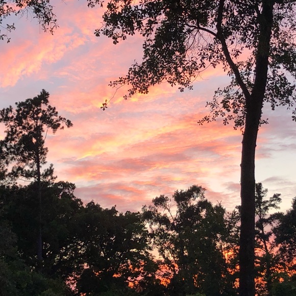 Profile Picture of Grace Eiland (@clovergreen115) on Poshmark