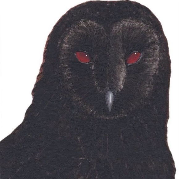 Profile Picture of Grace Garthwaite (@barnowldoll) on Poshmark