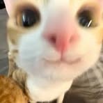Profile Picture of Lesly Larson (@thieu.thanh.tung.2025) on Facebook