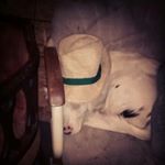 Profile Picture of Matthew Gavert (@matthewgavert) on Instagram