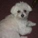 Profile Picture of Jean Chvala (@terryjeantoby) on Pinterest