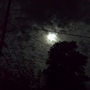 Profile Picture of Travis Caughron (@traviscaughron8126) on Youtube