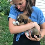 Bethany Musick - Instagram Profile Picture of Bethany Musick (@bethany.musick) on Instagram