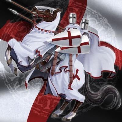 Profile Picture of Stephen Les Templar-AMERICA FIRST (@LesTemplar) on Twitter