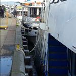 Profile Picture of Josè Luís Chuñil (@jose.chunil.965) on Instagram