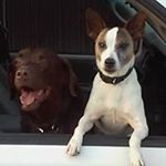 Profile Picture of Gary Spaulding (@azurleygirl) on Instagram