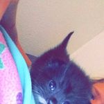 Profile Picture of Jillian Klinger (@jillianklinger) on Instagram