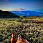 Profile Picture of Mauka Melodies (@maukamelodies) on Instagram