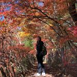 Profile Picture of Annie Chiu (@guozipig) on Instagram