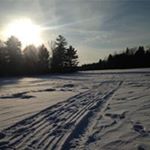 Brian Heidtke - Instagram Profile Picture of Brian Heidtke (@heidtkebrian) on Instagram